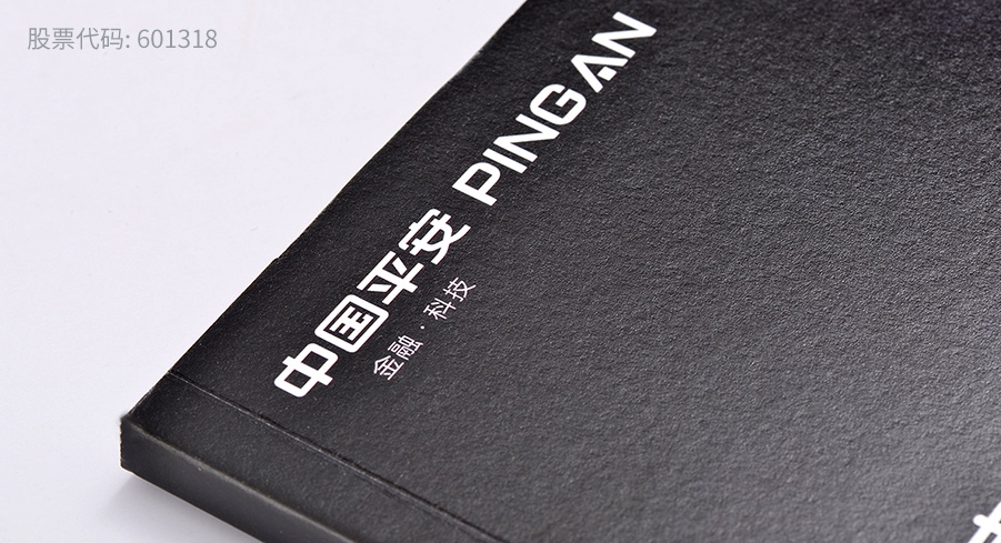 中國平(píng)安畫冊折頁印刷制作